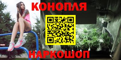 стафф Дубна