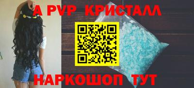 стафф Дубна