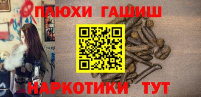 стафф Дубна