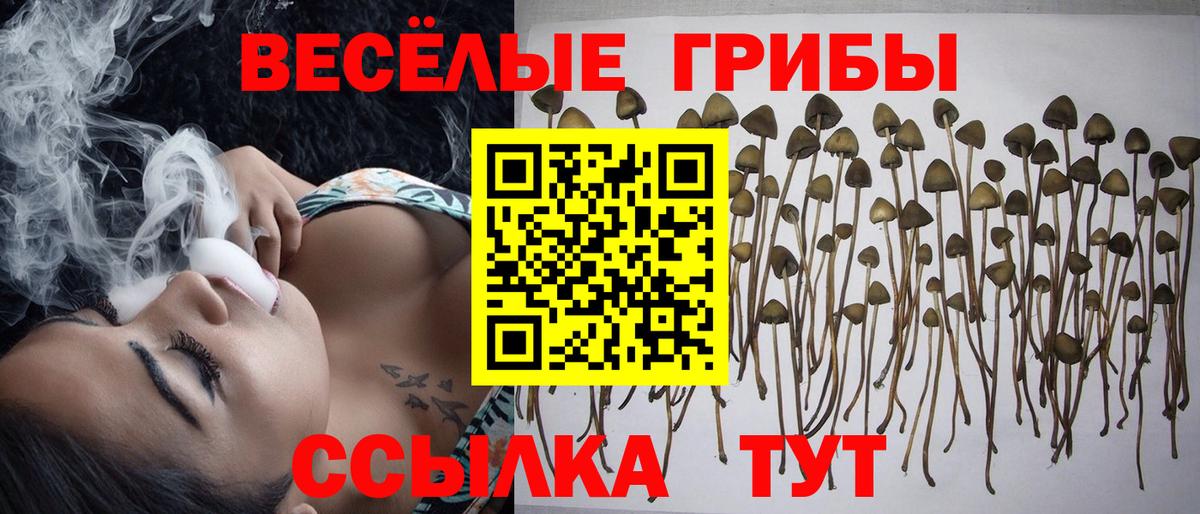 Галлюциногенные грибы Cubensis  Вход с VPN  Псилоцибиновые грибы Psilocybe  Нововоронеж 